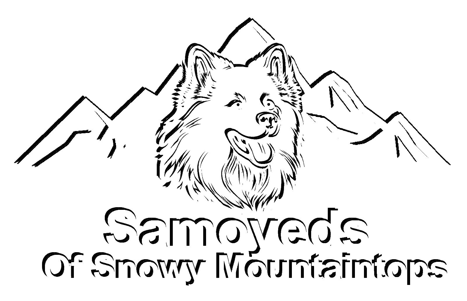 Samoyeds
